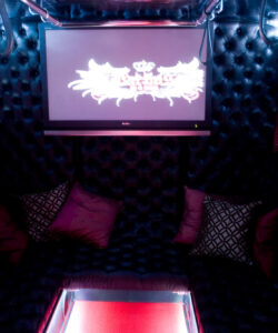 Partybus Barbus